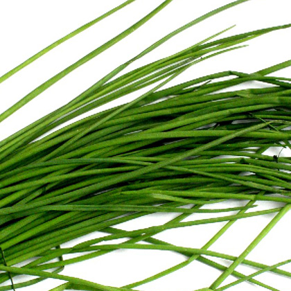 Escarola, alimentos orgánicos a domicilio
