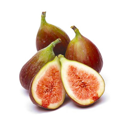 Escarola, alimentos orgánicos a domicilio