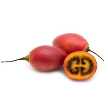 Escarola, alimentos orgánicos a domicilio